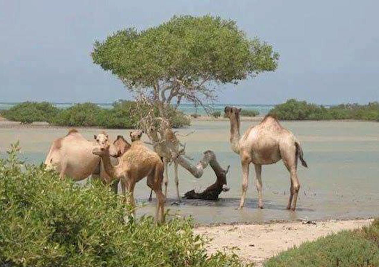 شقة Ambassador House مرسى علم المظهر الخارجي الصورة